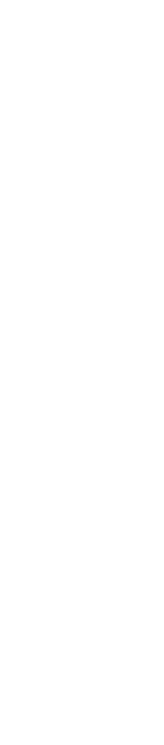 The Lotus Project...